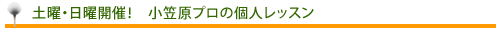 東京都葛飾区のゴルフ練習場・東堀切ゴルフクラブの土曜・日曜開催！　小笠原プロの個人レッスン
